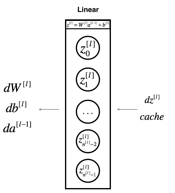 Figure 4: Backpropagation for a single layer. Credits: deep learning.ai