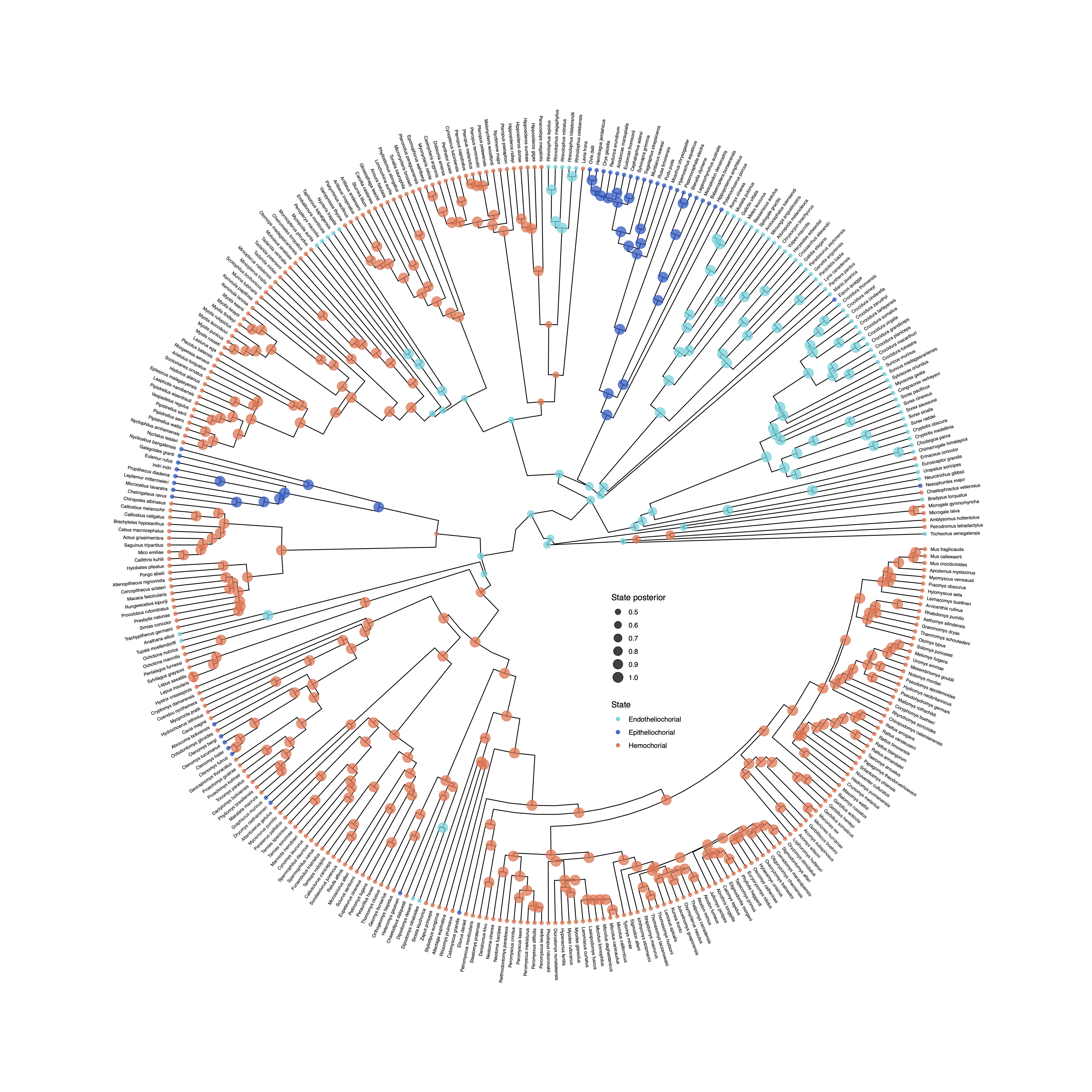 Circular plot of ancestral-state estimates